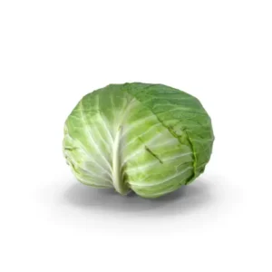 Cabbage