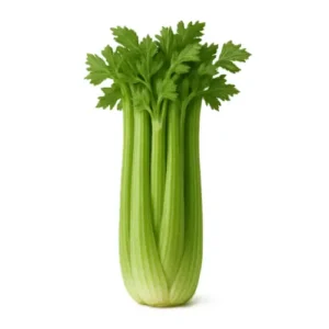 Celery