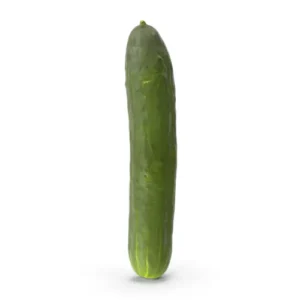 Cucumber