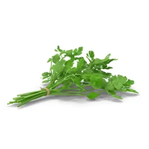 Fresh Herbs