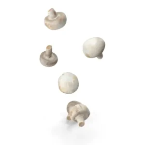 Mushrooms
